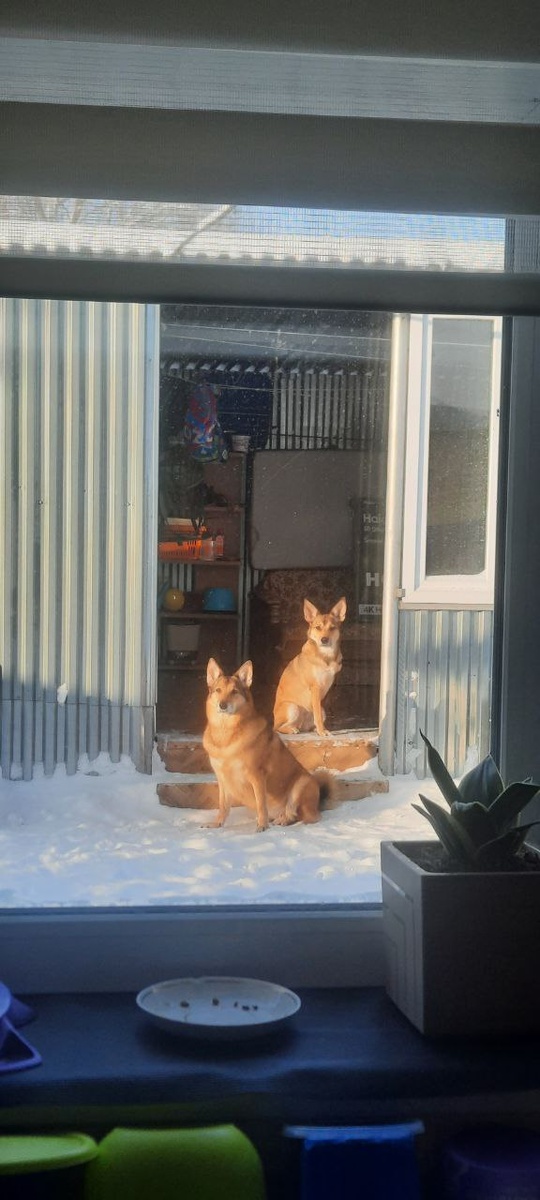 Ну, и где гости?