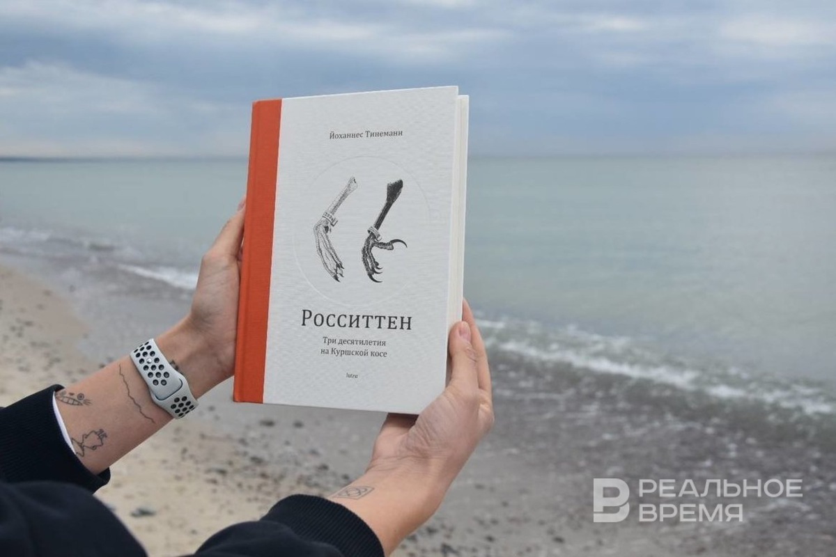   Екатерина Петрова / realnoevremya.ru