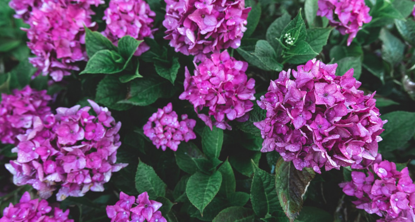    фото freepik.com