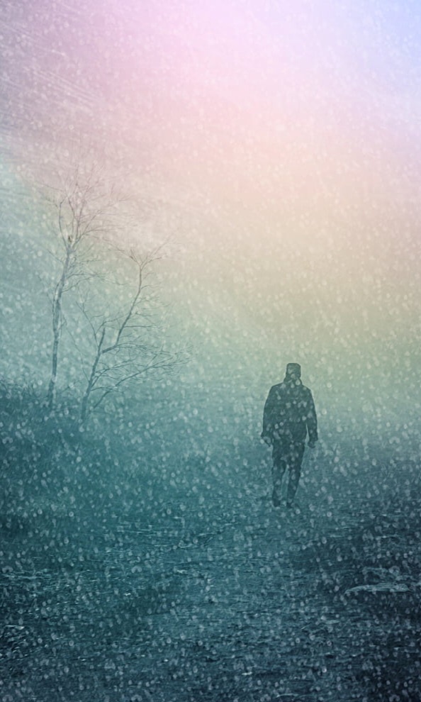 Картинка из интернета