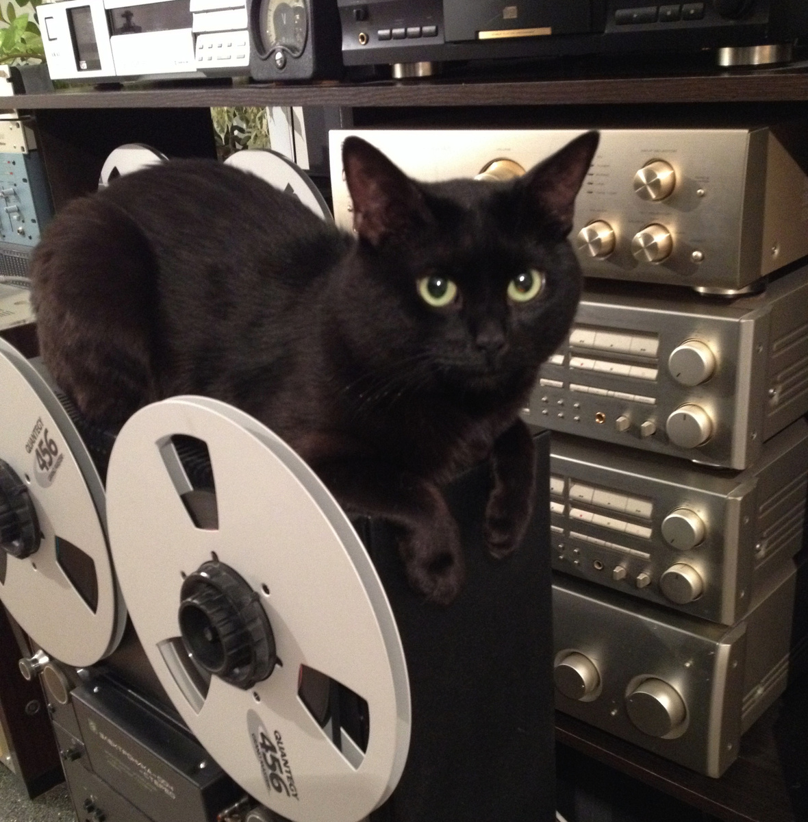 Электроника-004