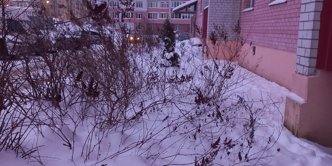 23.01.2026. Рано я в среду расслабилась)