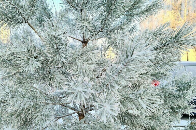   Денис Воронин / АГН Москва