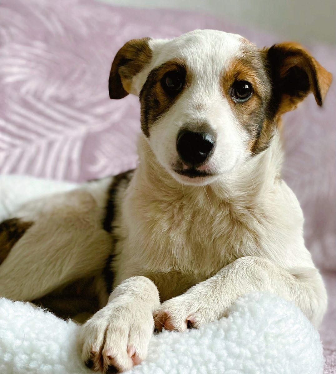 Тася. Фото из архива автора