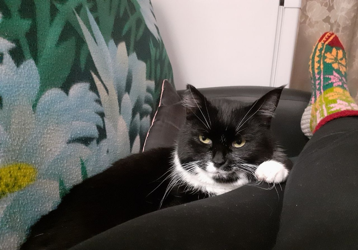 Ставит диагноз..