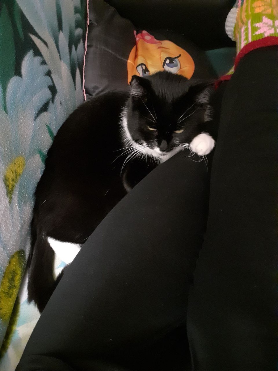 Джессика жалеет меня и лечит, как может...