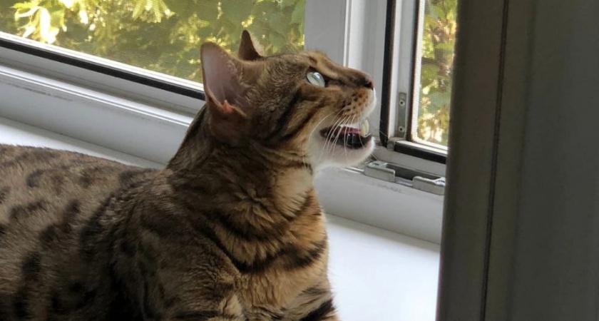    Фото Анастасии Дмитриевой