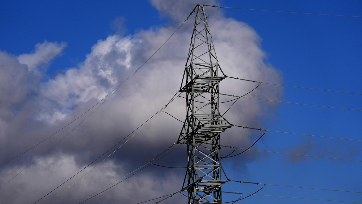    Фото: ИЗВЕСТИЯ/Дмитрий Коротаев