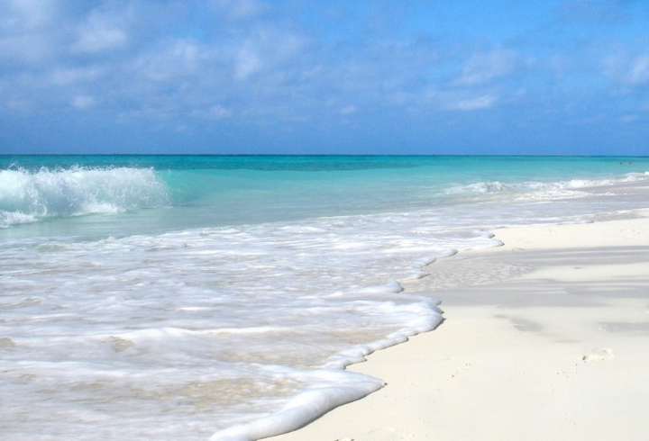 фото: pxhere.com