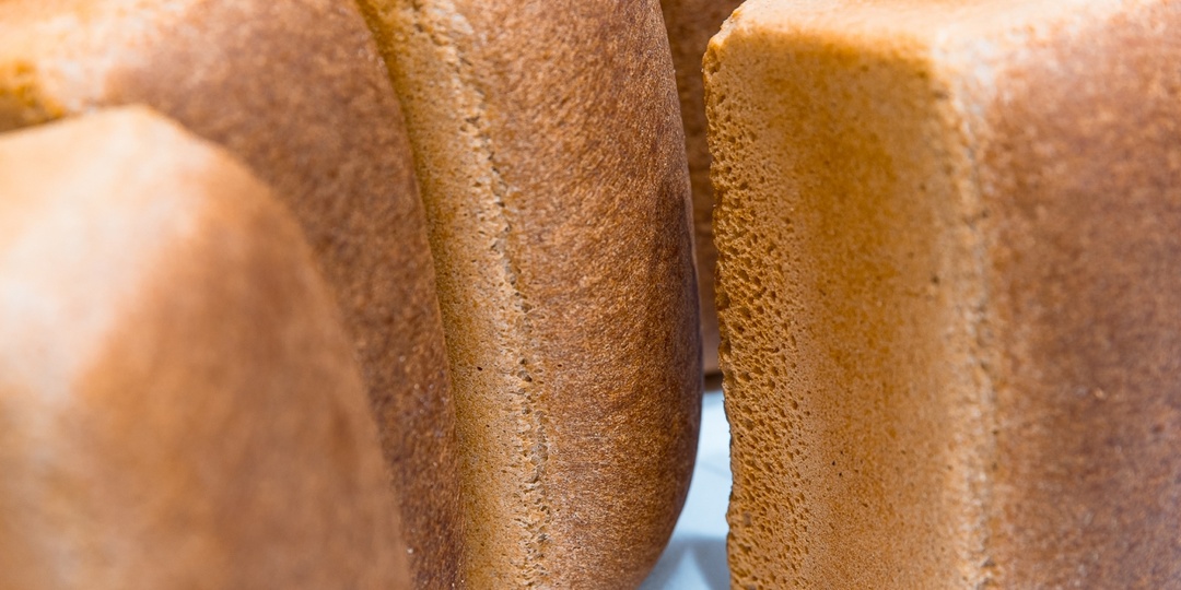 Можно ли хранить хлеб в холодильнике или так только хуже: ученые поставили точку в давнем споре