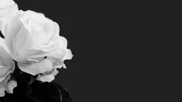    Фото: ElenaEmiliya/Shutterstock/Fotodom