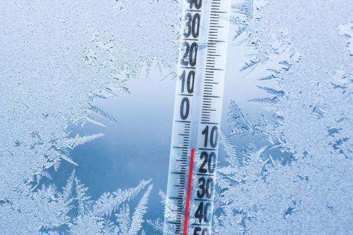 Обложка © Shutterstock / FOTODOM / Afanasiev Andrii