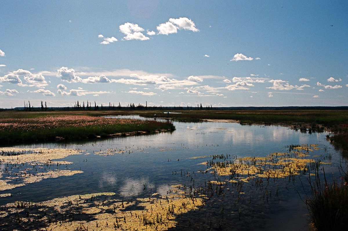 Солёная река.