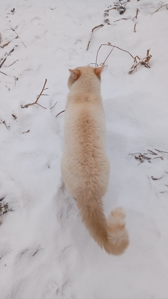 Фото из личного архива