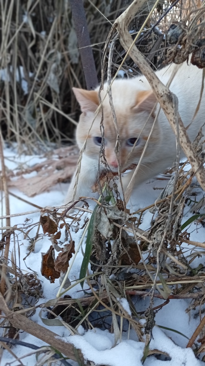 Фото из личного архива