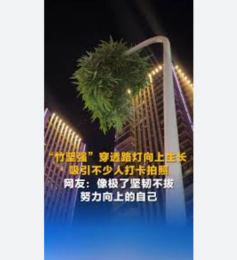 Из китайского тик-тока