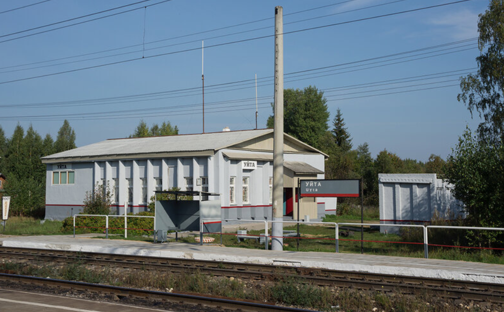 Фото с сайта https://dm35ru.livejournal.com/78971.html. Взято с Яндекс.Картинки