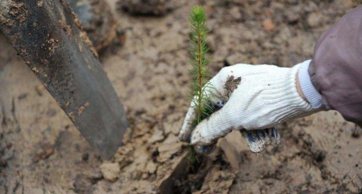    Фото правительства ЯО с сайта yarreg.ru