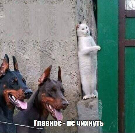 Новогоднего чуда не случилось