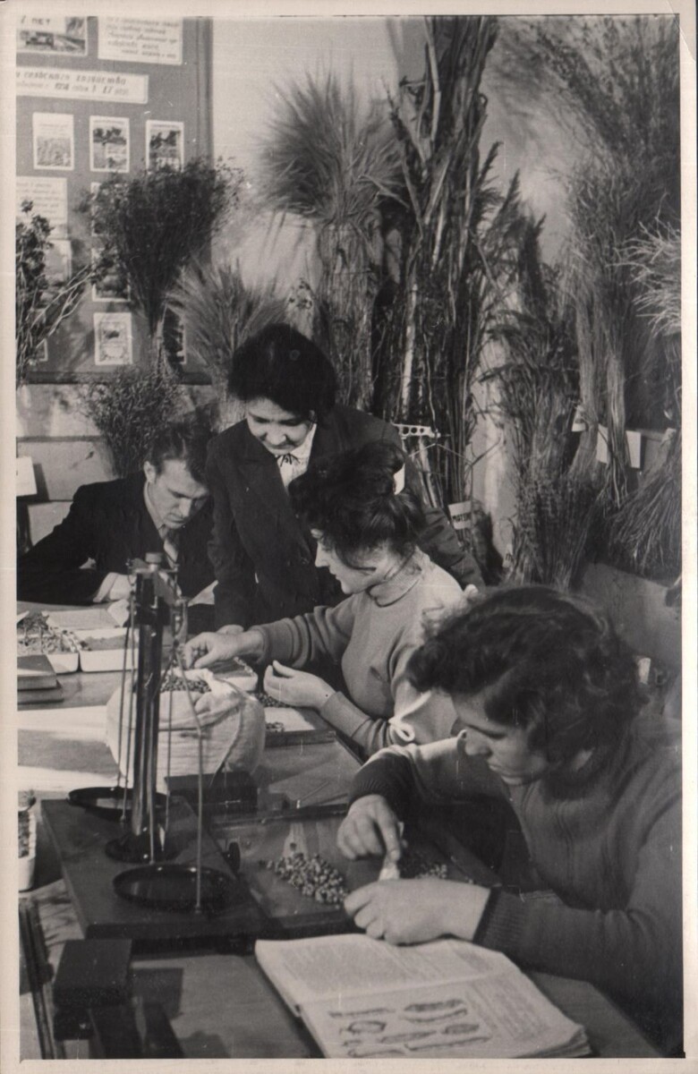    Алтайский сельскохозяйственный институт. Консультацию студентам проводит Чеканова Н.И., Герой Социалистического труда.. Источник: goskatalog.ru, архив АГКМ, Калинин Н.Н.