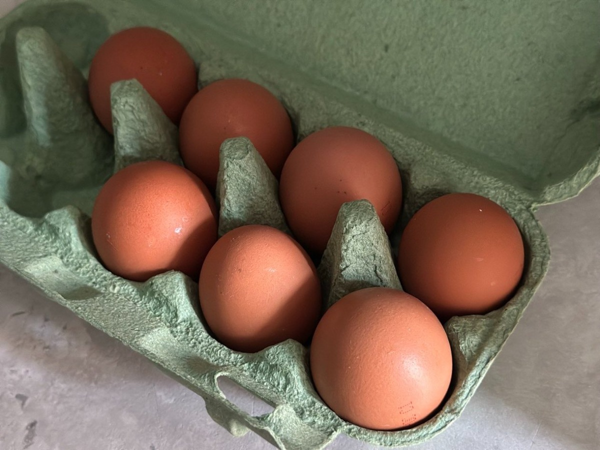 Фото: ИА Stavropol.Media