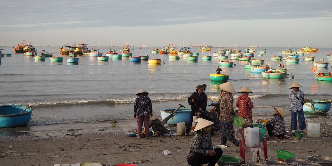 Утро в Муйне.