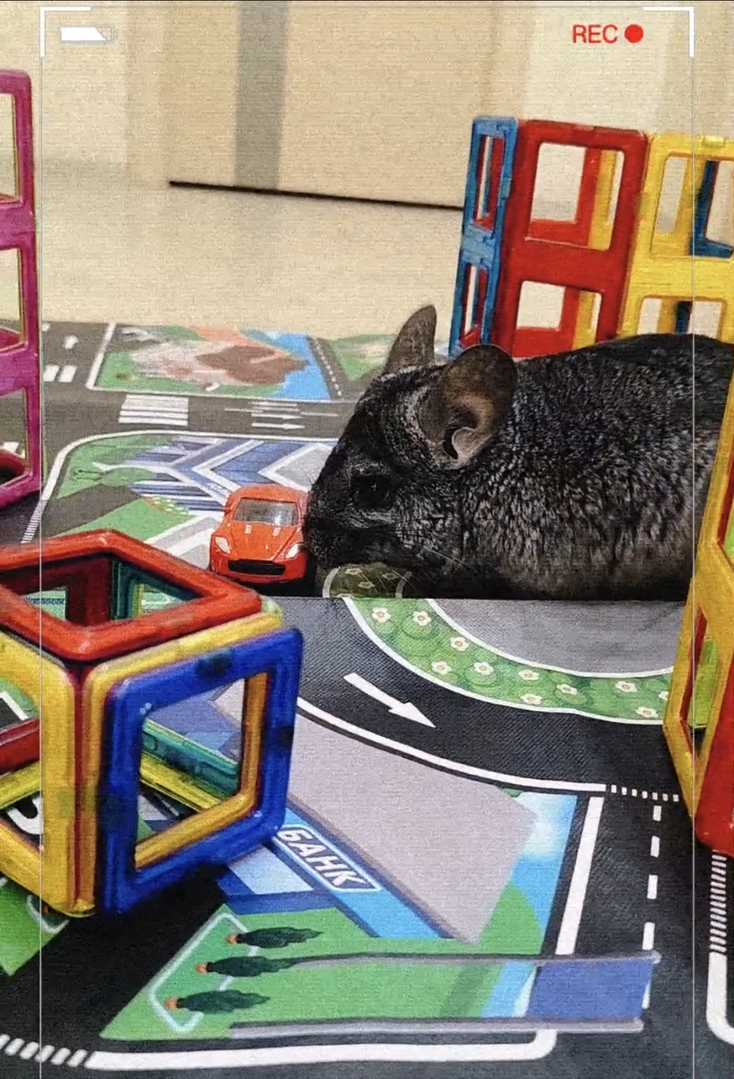 Скриншот из моего ролика