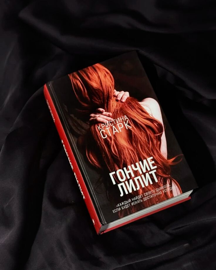 И сразу, причем тут вот это вот пафосное " Каждый найдёт своего дьявола, если будет искать достаточно усердно " - это щас про кого? Кто из этой книги кого искал? Если только Лилит искала этих "отчаянных", но причем тут тогда дьявол? Это потому что главная героиня мужика у бабки увела? Непонятно. 