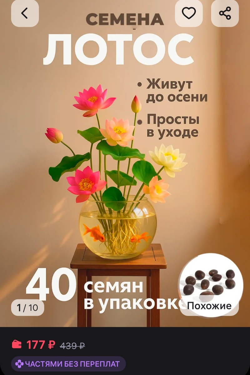 Карточка товара,  который подсунул мне алгоритм ВБ