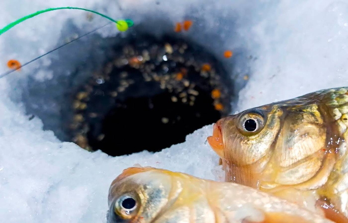Зимняя прикормка: искусство приманивания рыбы в холодной воде