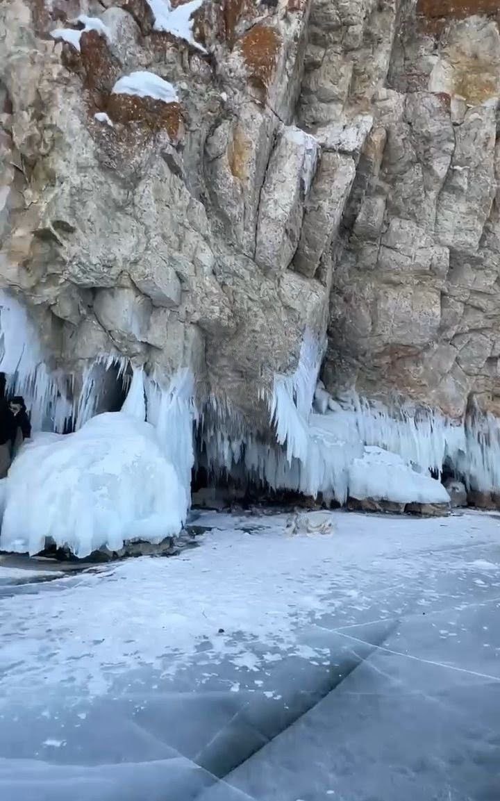 Фото автора.