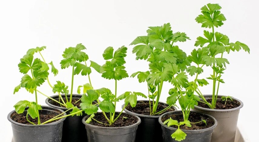 фото 123RF/stefans42