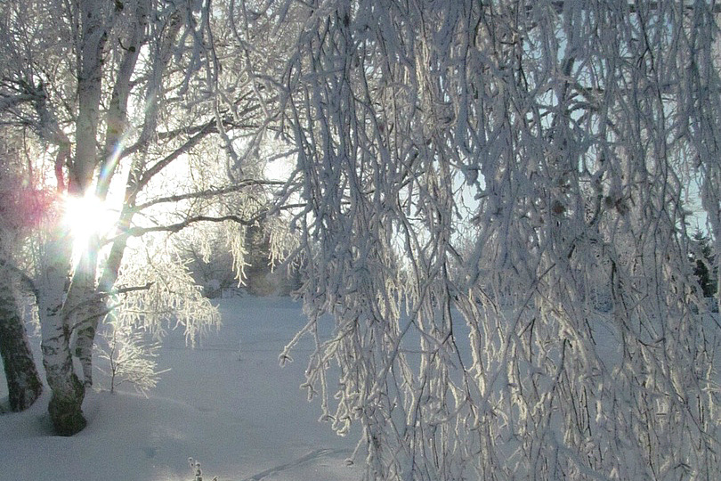24.01.26 Квест на выживание. То, что не убивает нас, делает нас сильнее