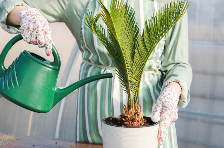    Shutterstock/FOTODOM