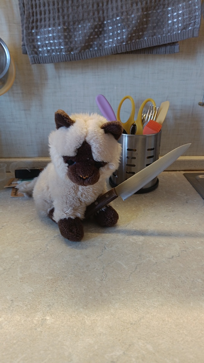 Не пугайтесь, он идёт помогать маме печь тортик🥰