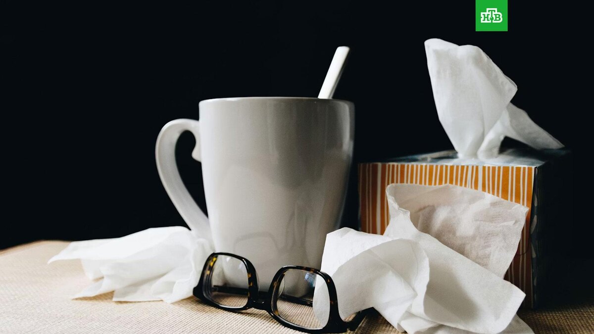    Фото: kellysikkema / unsplash.com