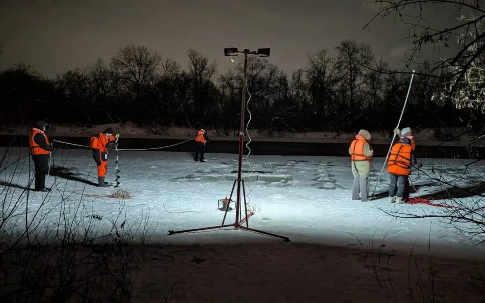    Фото: "ЛизаАлерт"