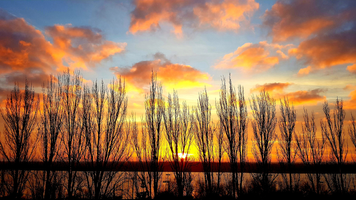 © Фото: ИД «Волгоградская правда» / архив.