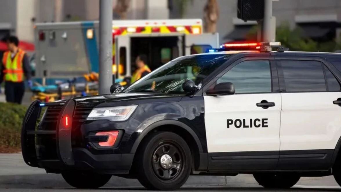    Фото: Matt Gush/Shutterstock/Fotodom