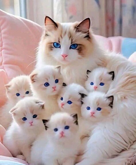 Фотография из интернета