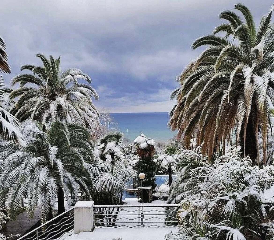 Зона субтропиков в России — узкая полоска суши вдоль Чёрного моря которую разделяют на: Сухие — от Новороссийска до Туапсе,   и Влажные — от Туапсе до Адлера.