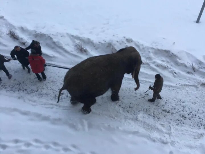 фото: яндекс.
