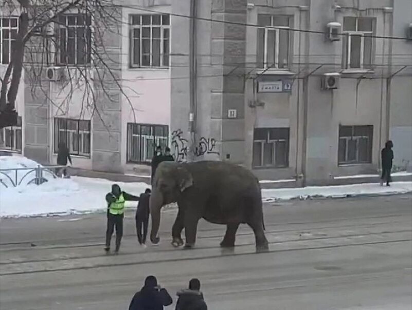 фото: яндекс. 