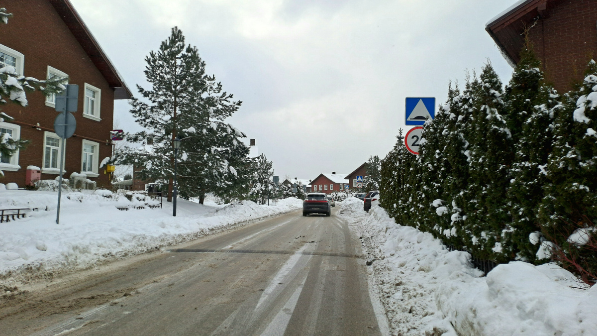 Вот такие здесь дома и хвойные деревья везде.