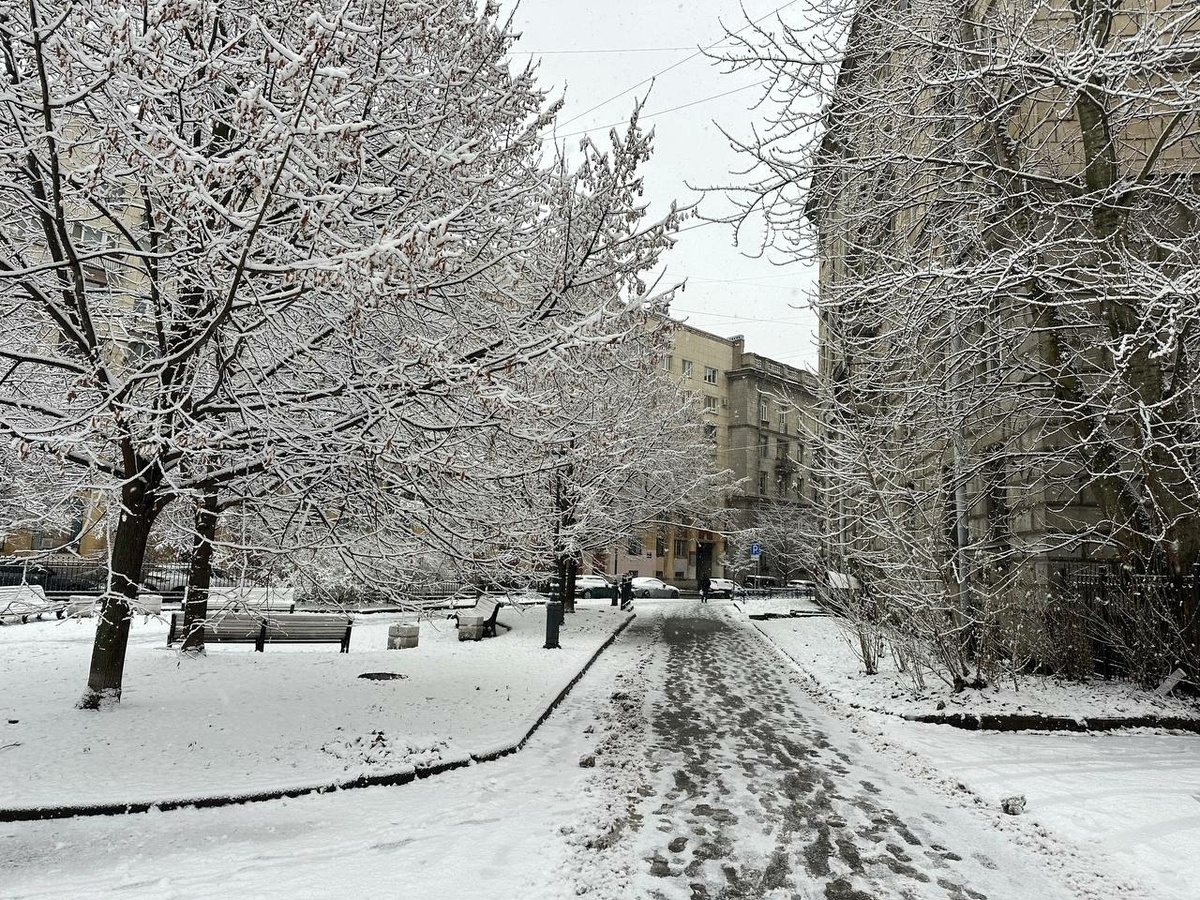     Фото: "Бриф24"