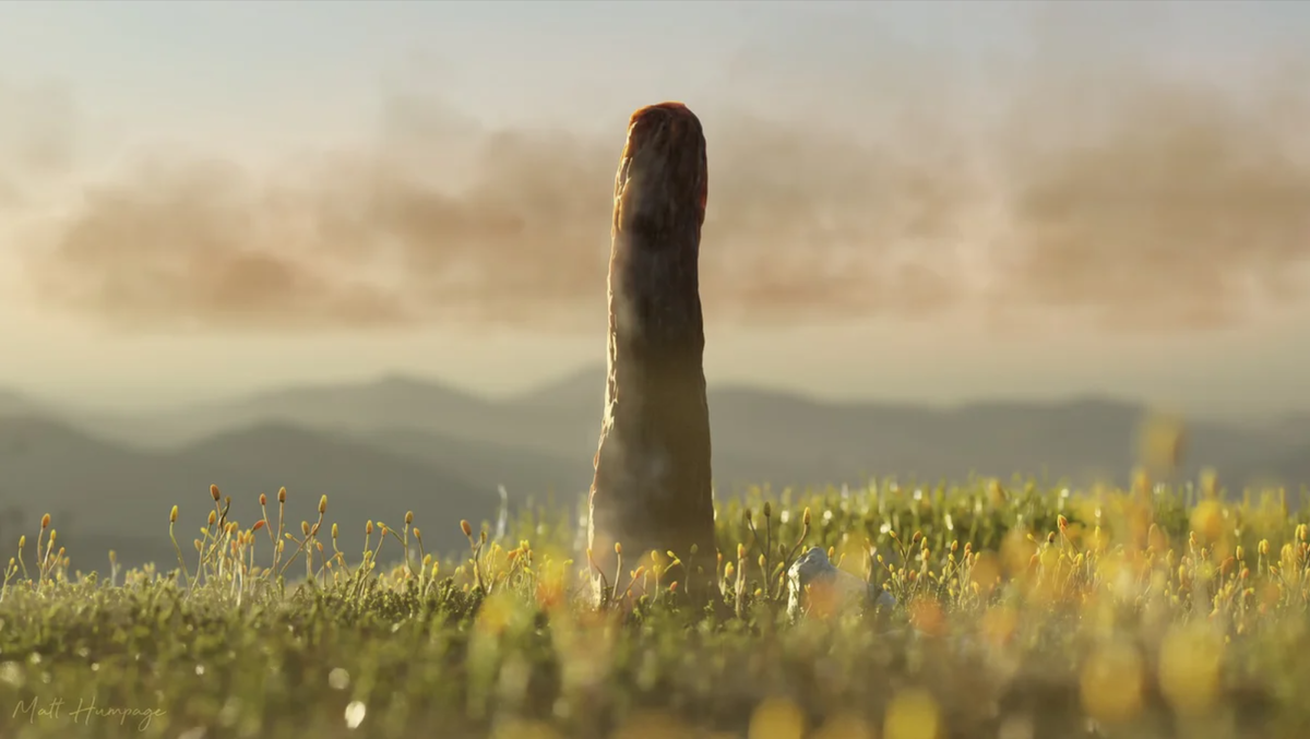 Давайте же сегодня отправимся в древность и покопаемся в феномене прототакситов.