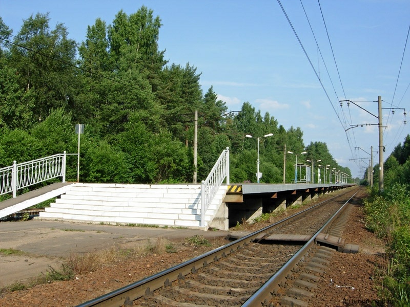 Вид пассажирской платформы со стороны Грузино. Фото: Д. Верёвкин, 15.07.2013 г.