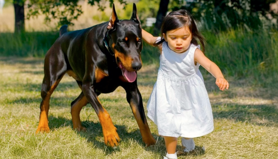 Мать выбежала на лай и увидела страшную картину: ее дочь лежала на земле, а над ней стоял рычащий зверь.