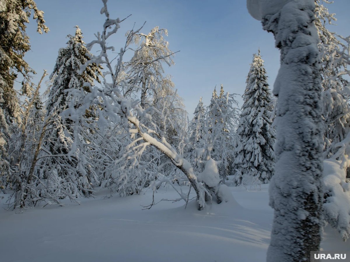     Усольцевы пропали в тайге в 2025 году