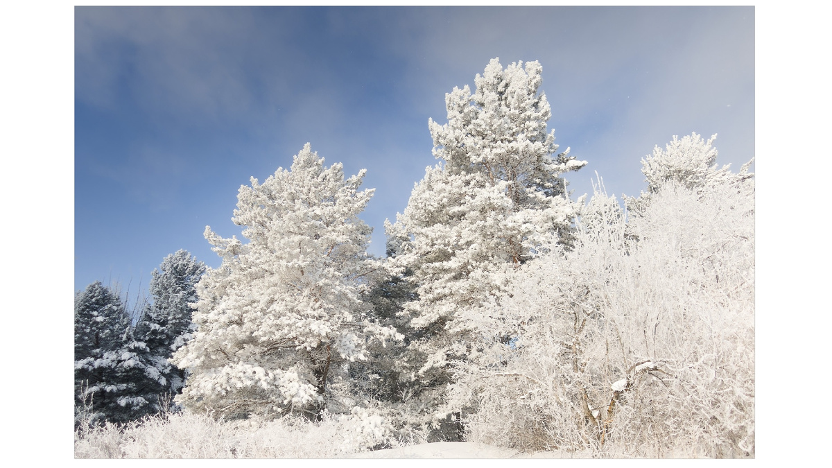 Прогулка по зимнему лесу.